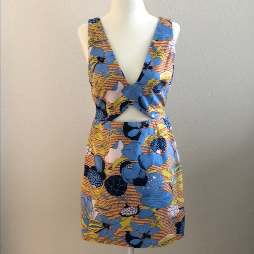 Zara Dress
